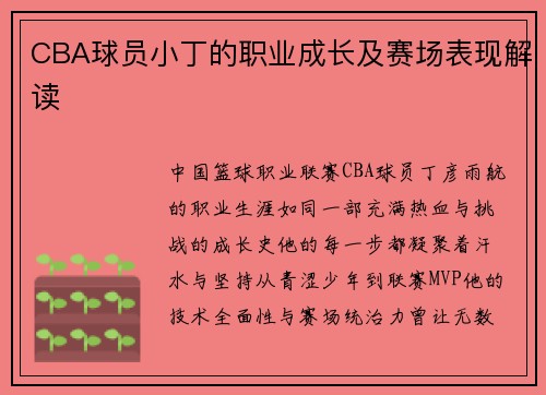 CBA球员小丁的职业成长及赛场表现解读